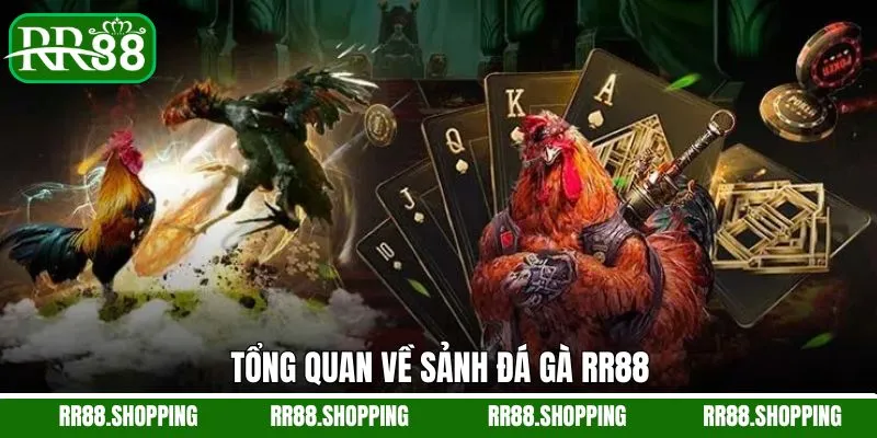 Tổng quan về thể loại đá gà nổi tiếng